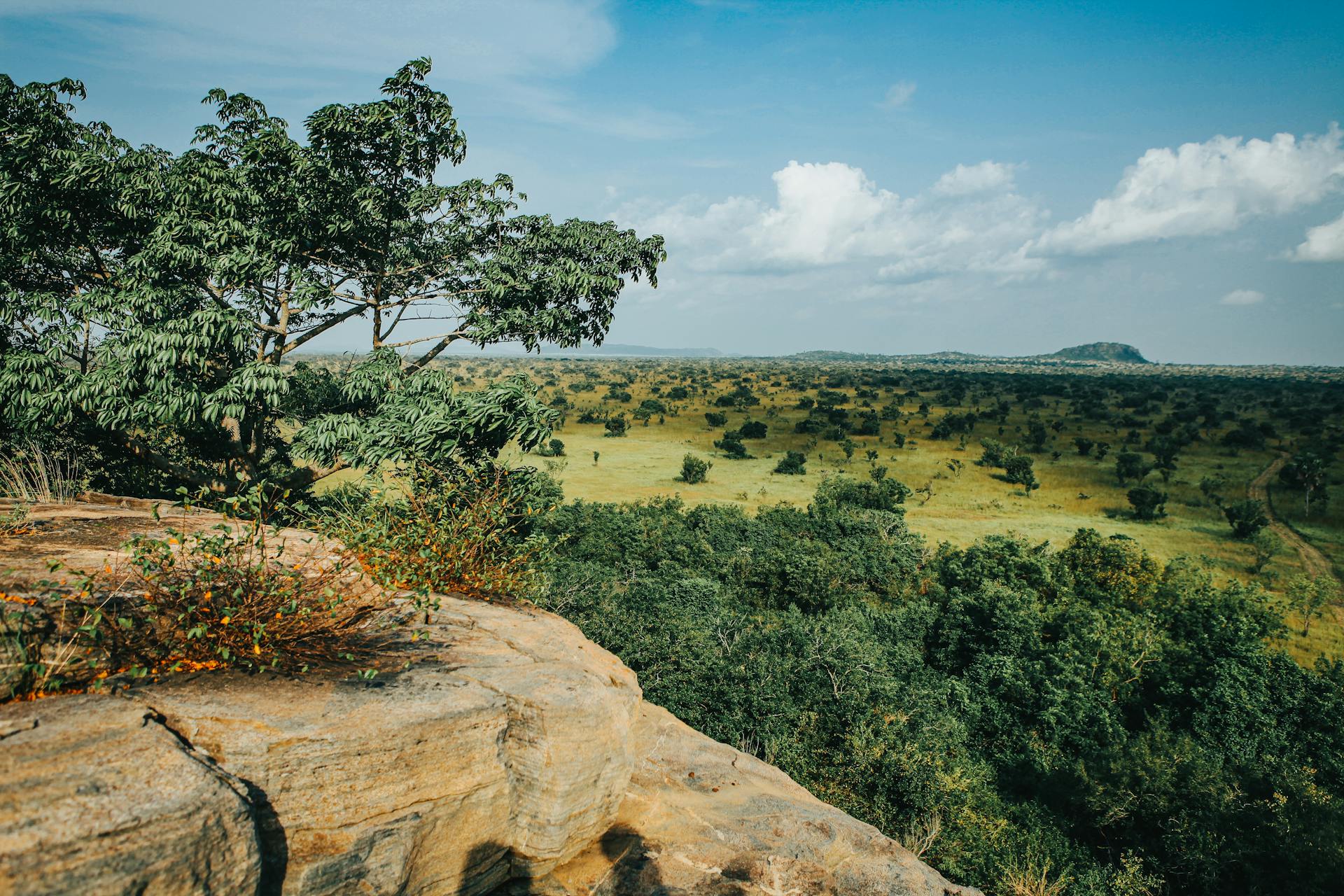 Kidepo Valley National Park