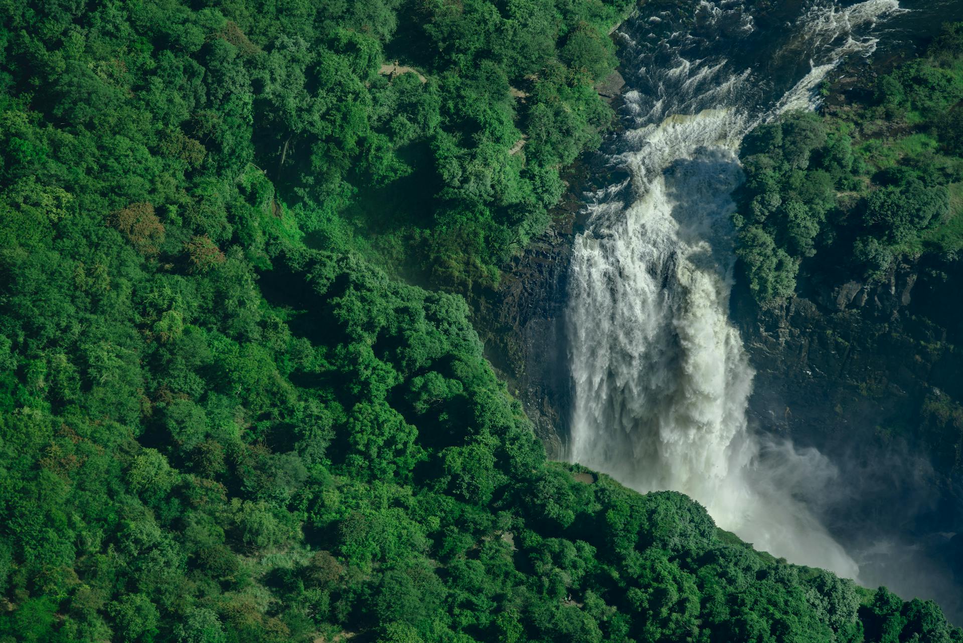 Murchison Falls National Park