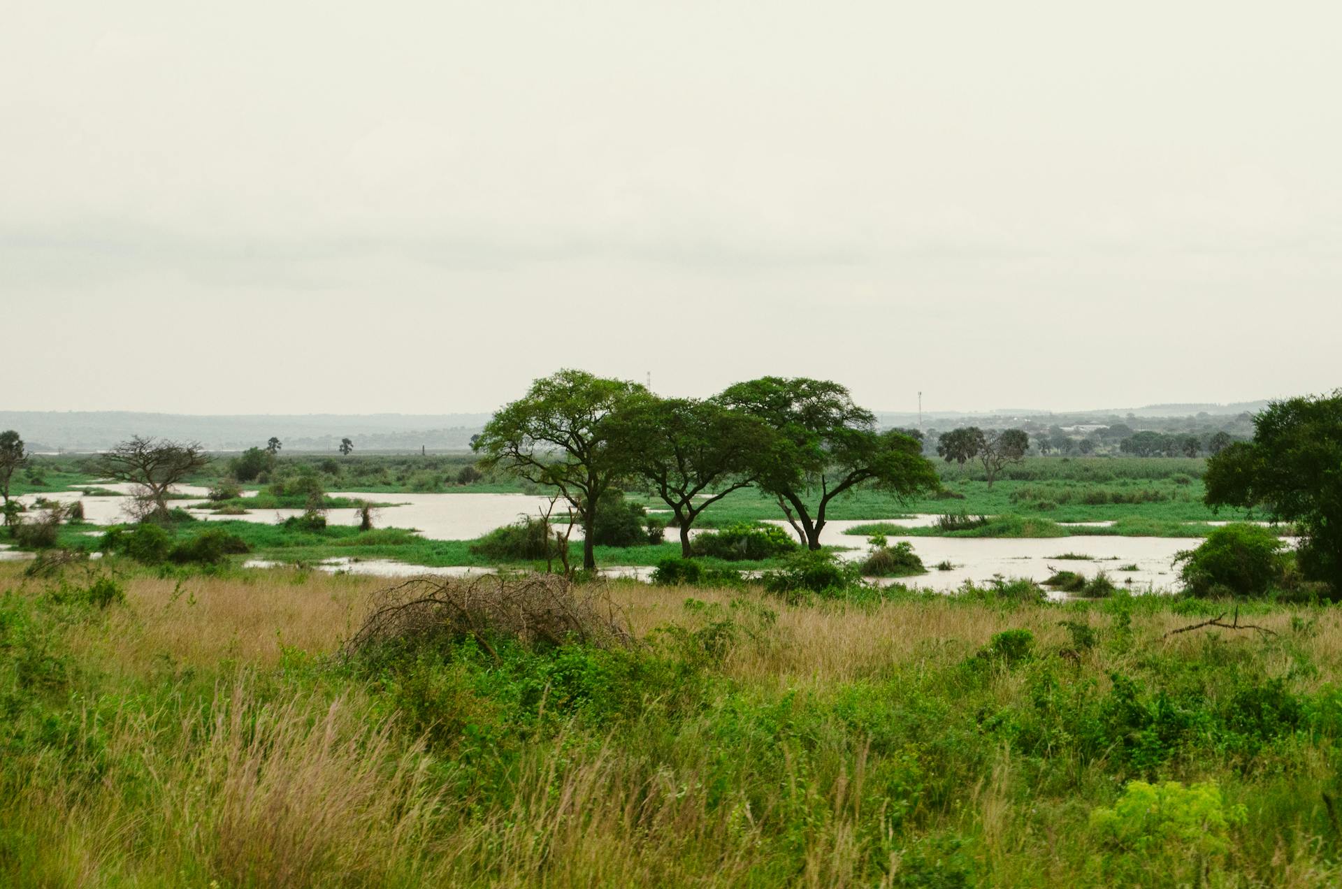 Source of the Nile - Jinja